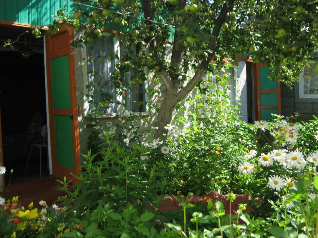 Olga Guest House Cholpon-Ata Exteriér fotografie